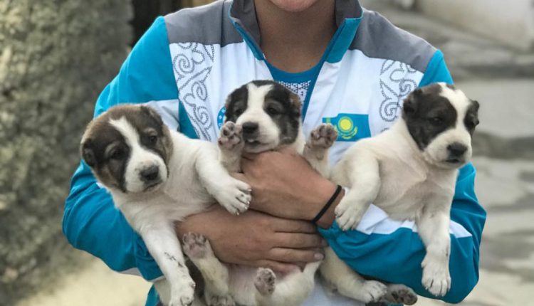 Эльмира Айгалиева