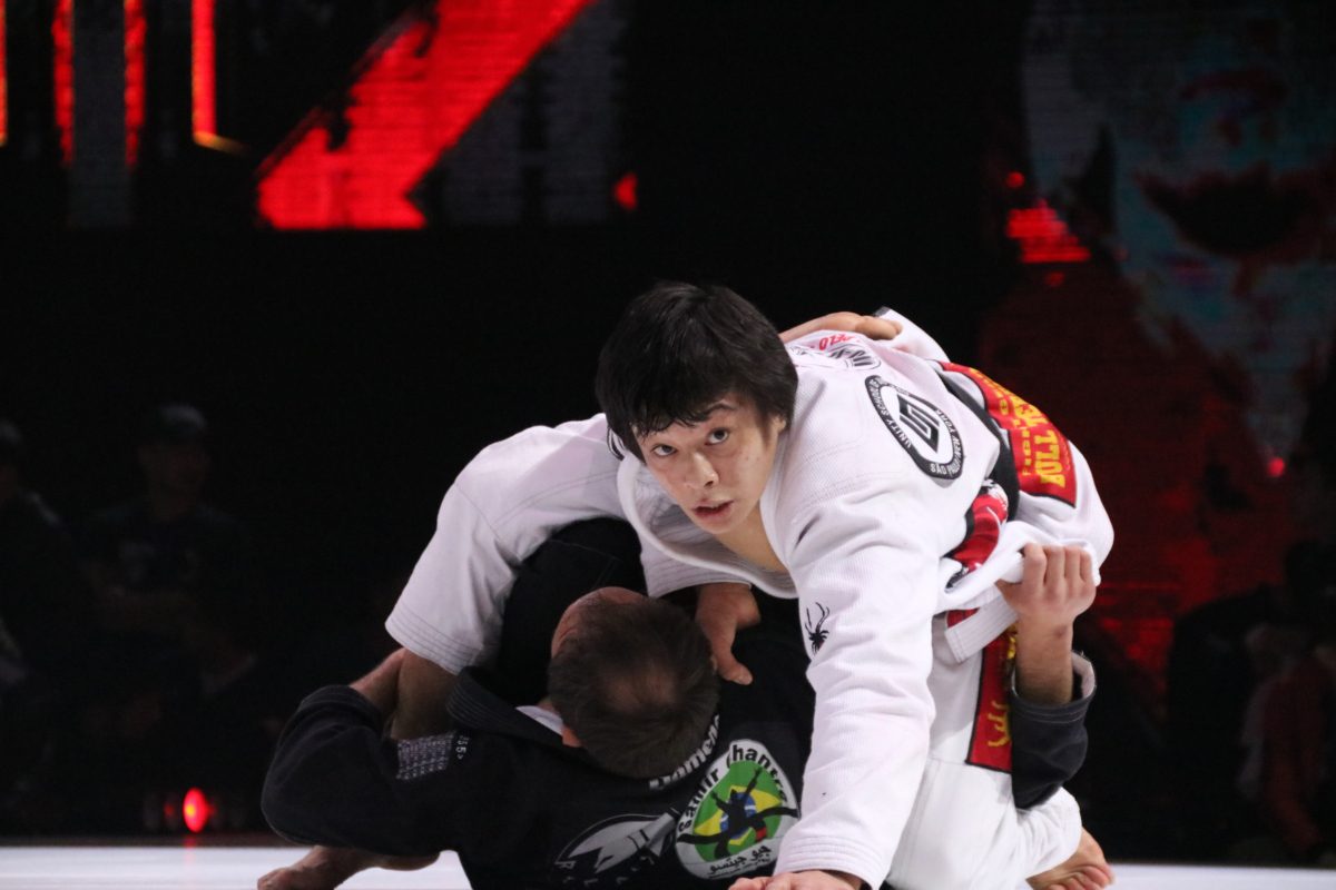 джиу-джитсу