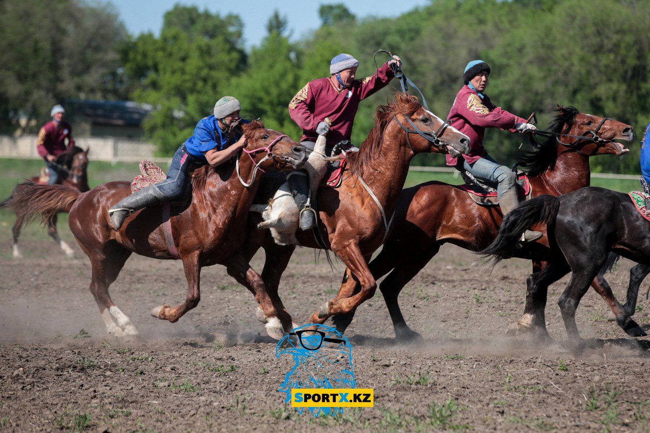 Ұлттық ойындар түрлері. Кокпар. Казахские национальные виды спорта. Национальные виды конного спорта. Кокпар фото.