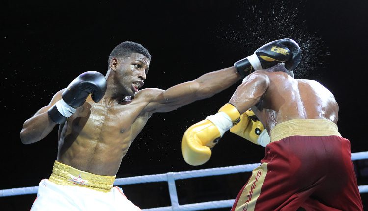 Боксеры Куба Домадорес