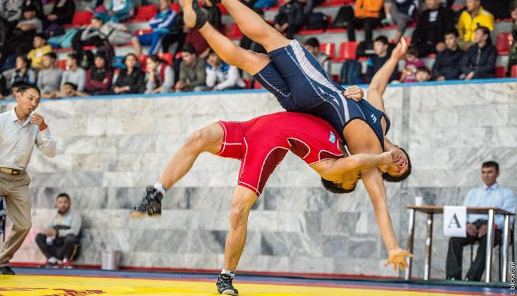 Вольная борьба