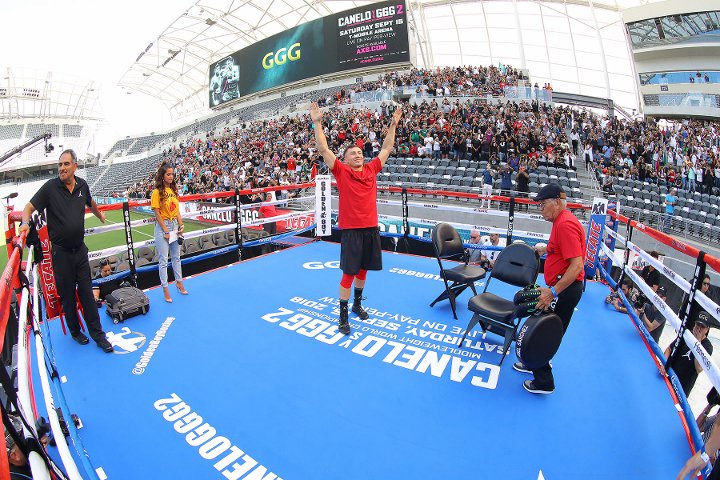 Геннадий Головкин