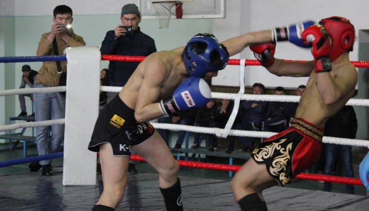 Кикбоксинг