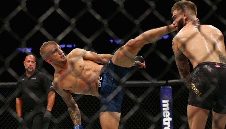 Ти Джей Диллашоу