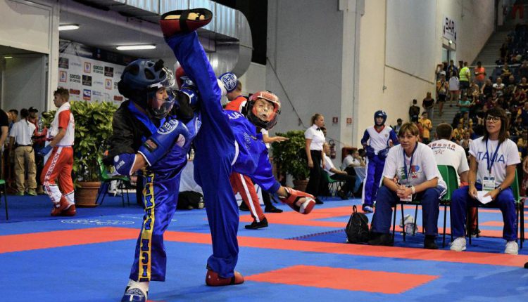 чемпионат мира WAKO