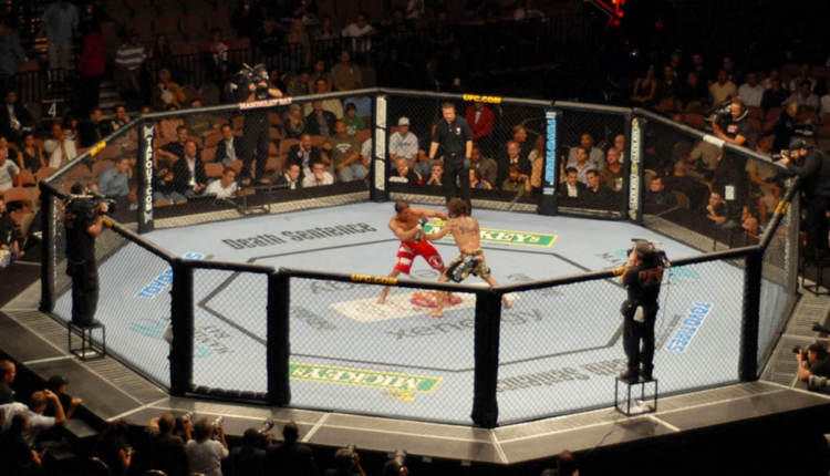mma-octagon