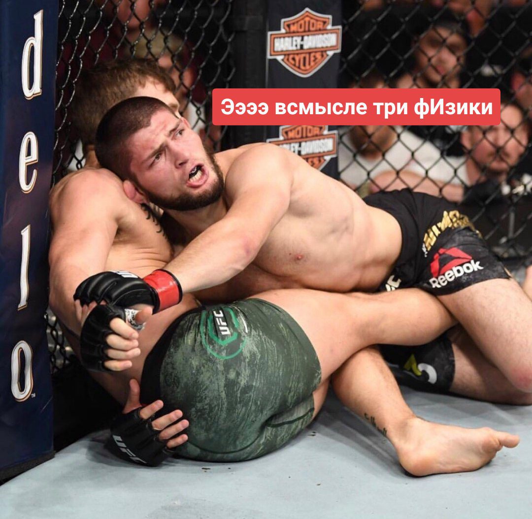 Лучшие мемы на бой Нурмагомедов vs Макгрегор