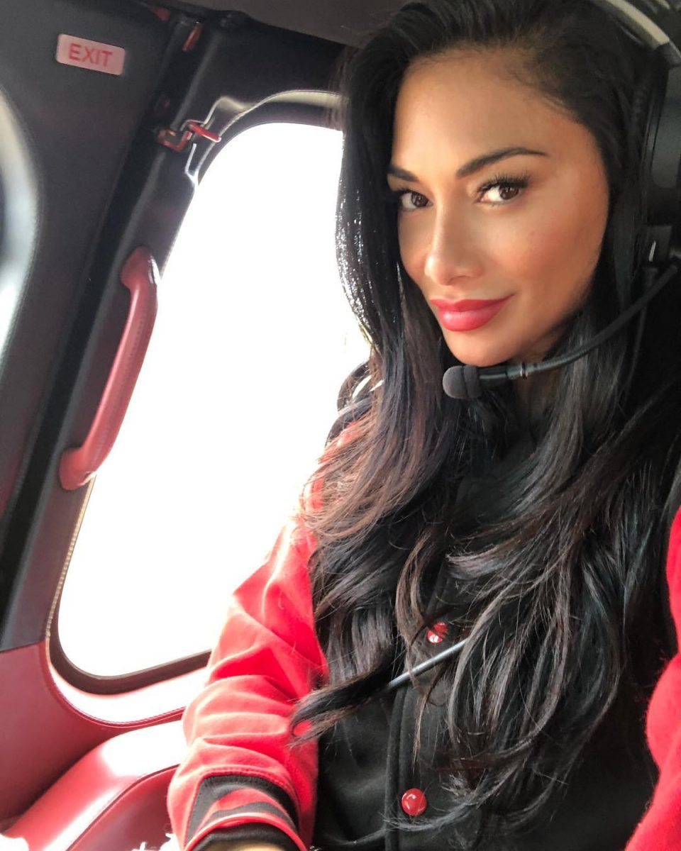 Горячие подружки чемпиона Формулы-1 Льюиса Хэмилтона