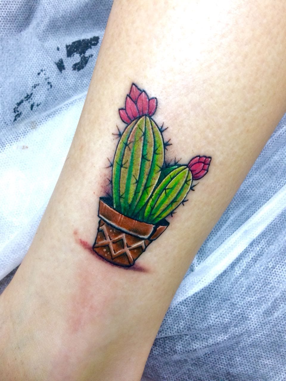 Анна Шевченко