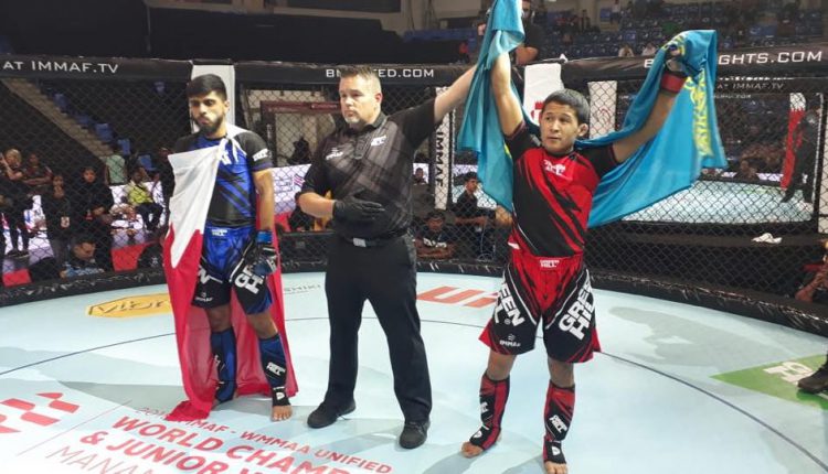 чемпионат мира по ММА