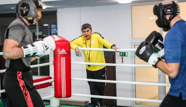 Бокс Казахстан