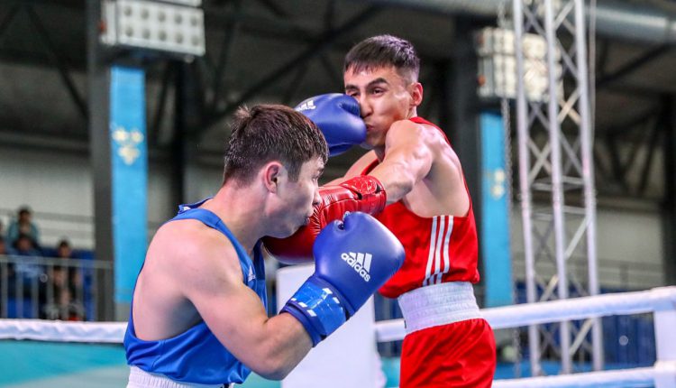 спартакиада по боксу