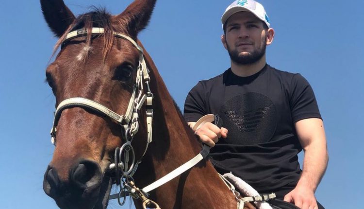 Хабиб Нурмагомедов