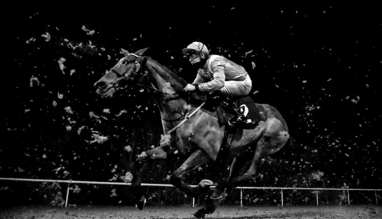 Goring-ridden-by-Charles-Bishop-during-the-Play-4-to-win-at-Betway-Handicap-at-Wolverhampton-Racecourse.-©-Mike-Egerton