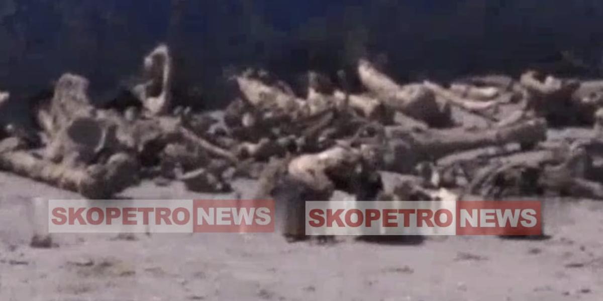 Человеческие кости обнаружили при реконструкции стадиона «Карасай»