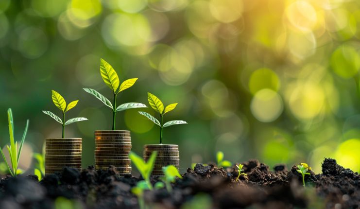 Стратегии онлайн-казино Pin Up в Узбекистане: Партнерский маркетинг